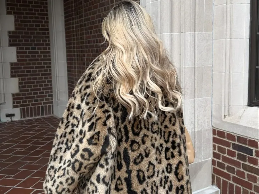 plato_animal_print