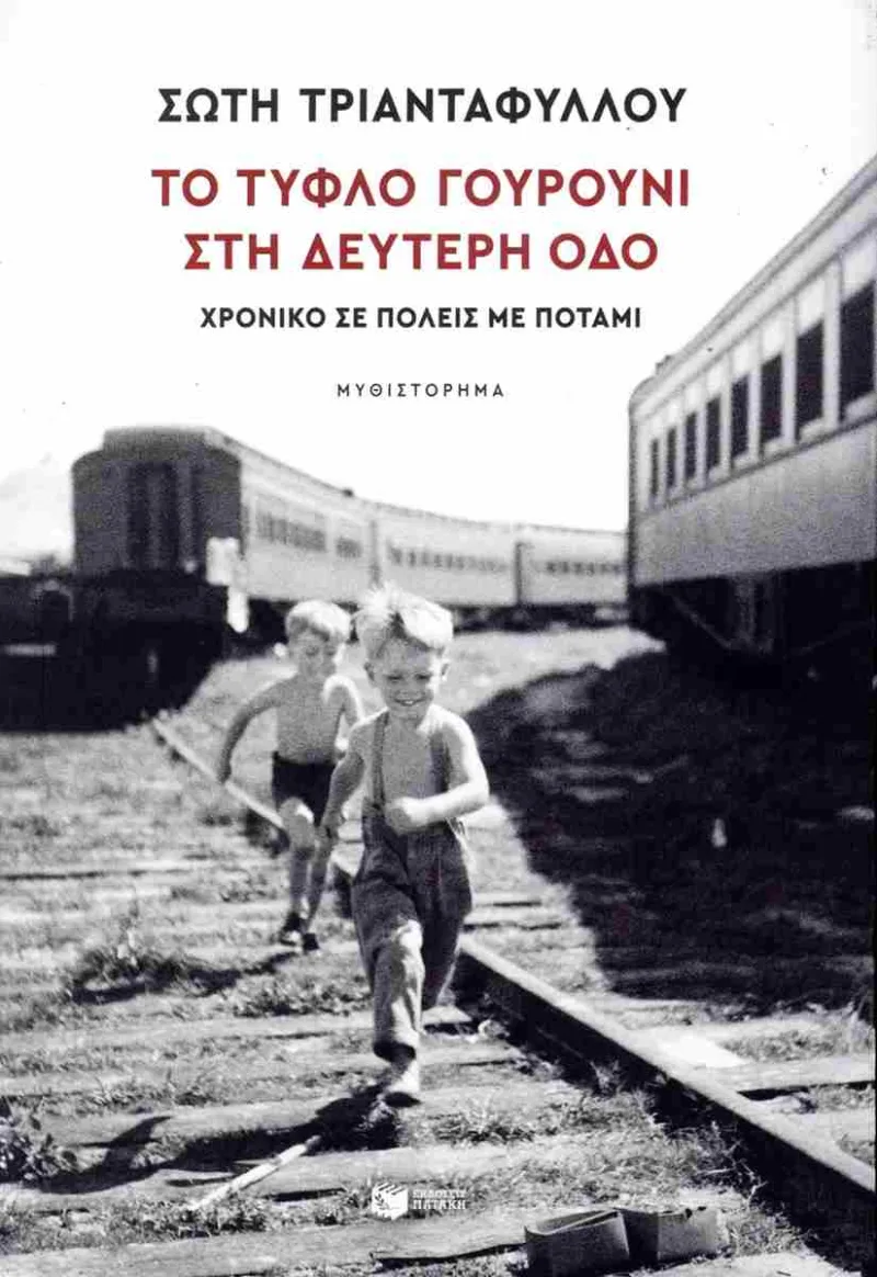 Εξώφυλλο βιβλίου της Σώτης Τριανταφύλλου με τίτλο Το τυφλό γουρούνι στη δεύτερη οδό.