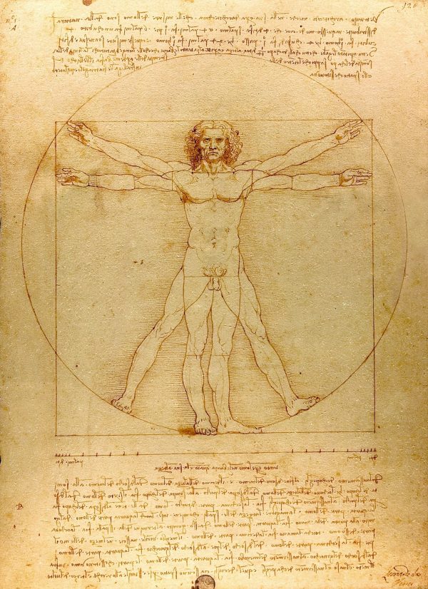 Ίχνη DNA του Leonardo da Vinci σε έργα της Αναγέννησης