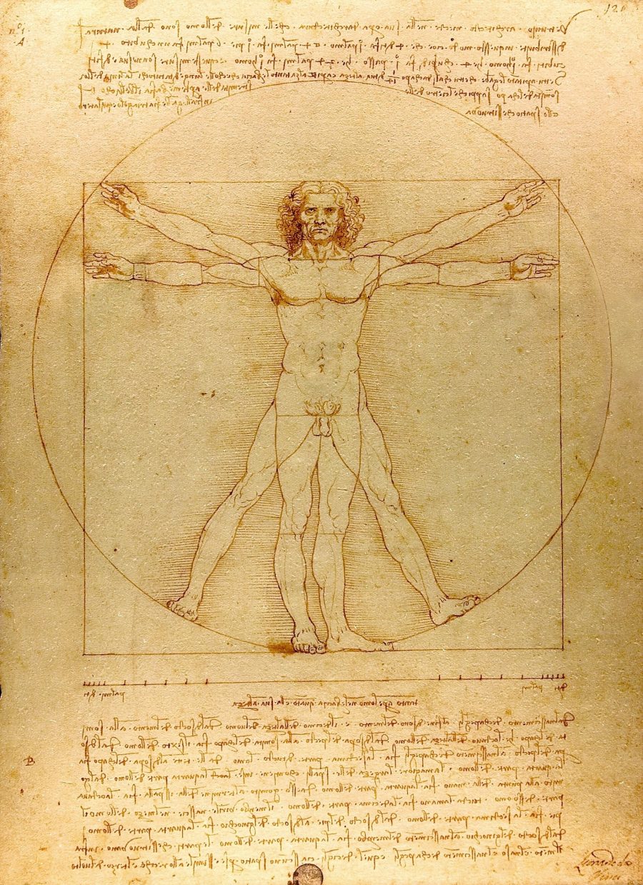 Έργο τέχνης του Leonardo da Vinci από την περίοδο της Αναγέννησης στο πλαίσιο έρευνας για ίχνη DNA.