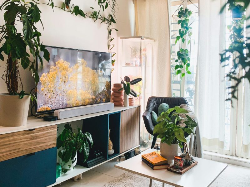 Έτσι θα προετοιμάσεις από τώρα τον κήπο σου για την άνοιξη