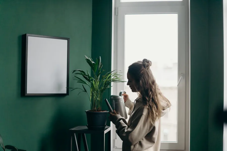 Μια γυναίκα ποτίζει ένα φυτό εσωτερικού χώρου δίπλα σε ένα παράθυρο.