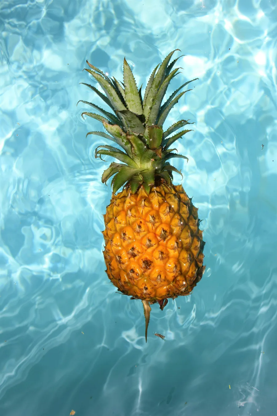 ananas