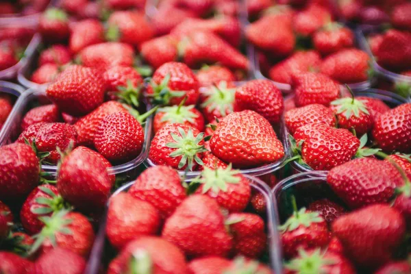 Φρέσκες κόκκινες φράουλες σε μπολ, έτοιμες για πλύσιμο με αλατόνερο.