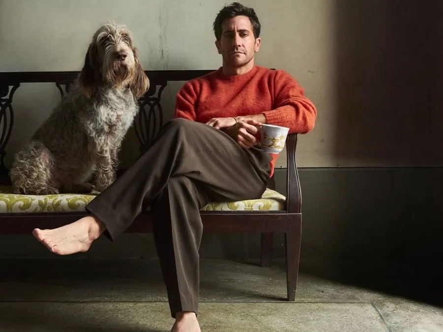 jake_gyllenhaal