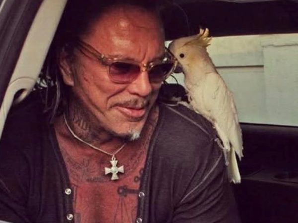 Ο Mickey Rourke έχασε το σπίτι του λόγω οφειλών σε ενοίκια