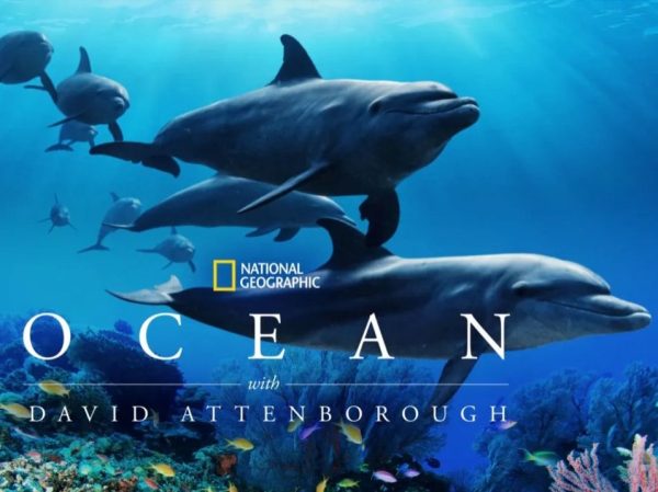 Το ΕΚΚΟΜΕΔ φέρνει τον David Attenborough σε όλα τα σχολεία