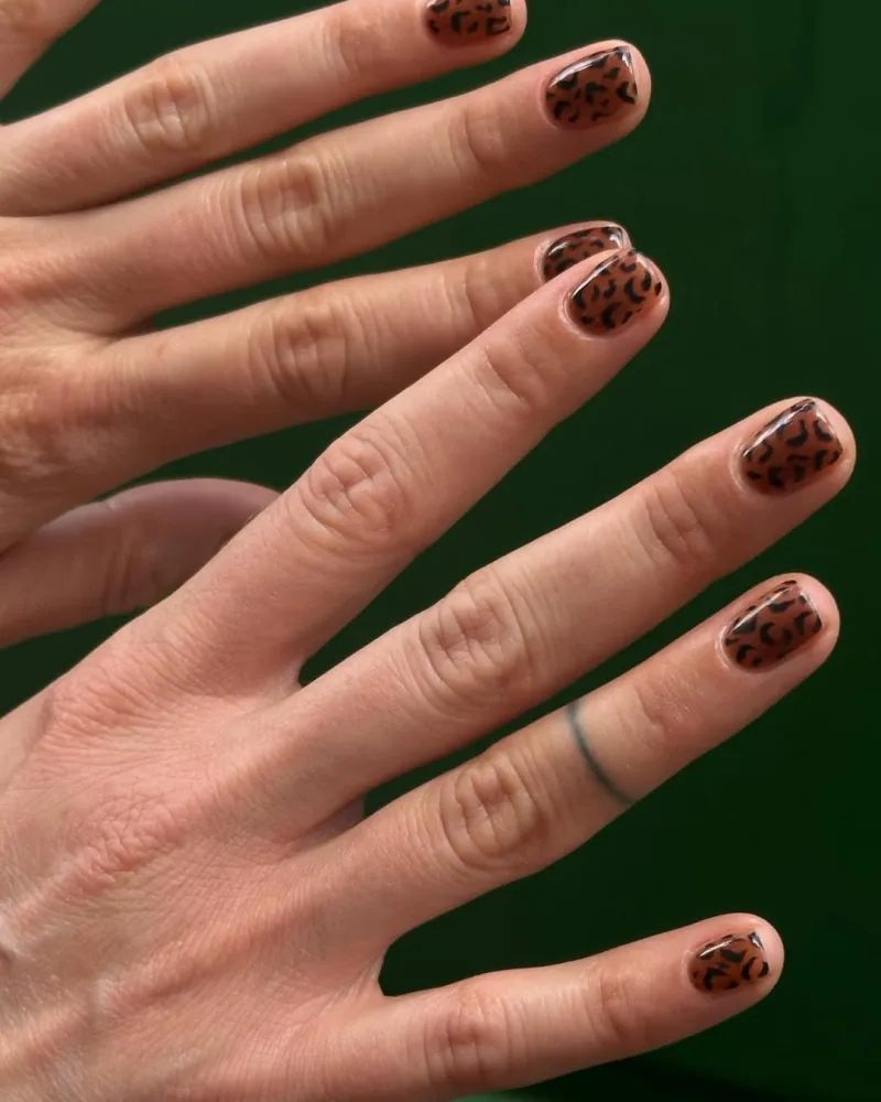 cheetach