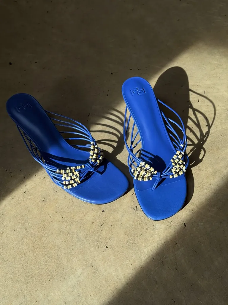 embellished_takounia