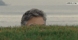 https://giphy.com/gifs/reaction-grass-peep-GCjIE9C9Eb9V6