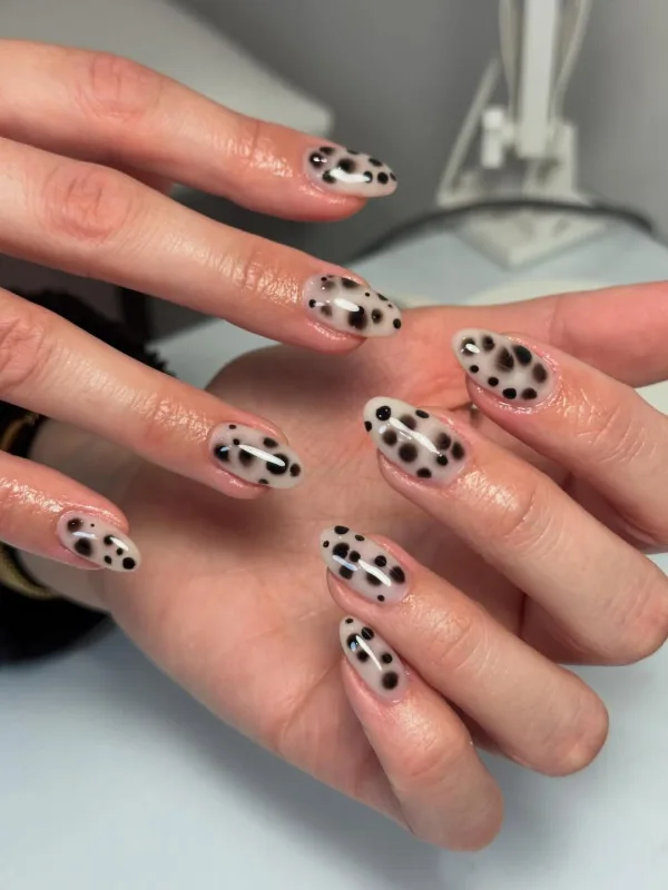nixia_dalmatias