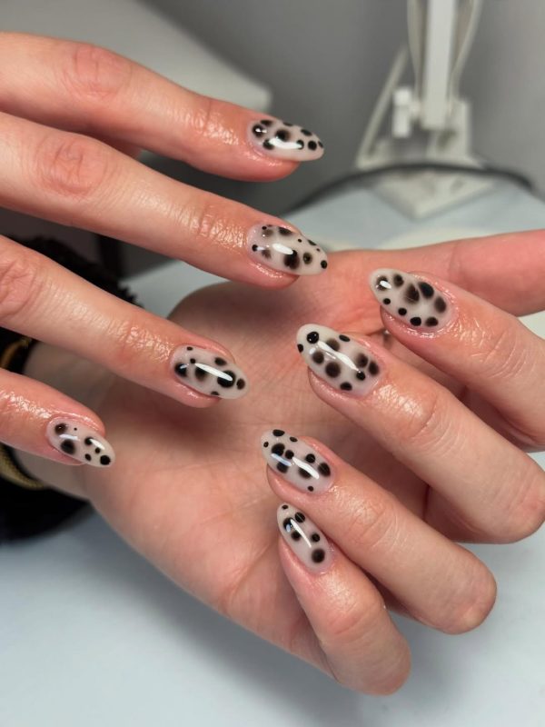 nixia_dalmatias