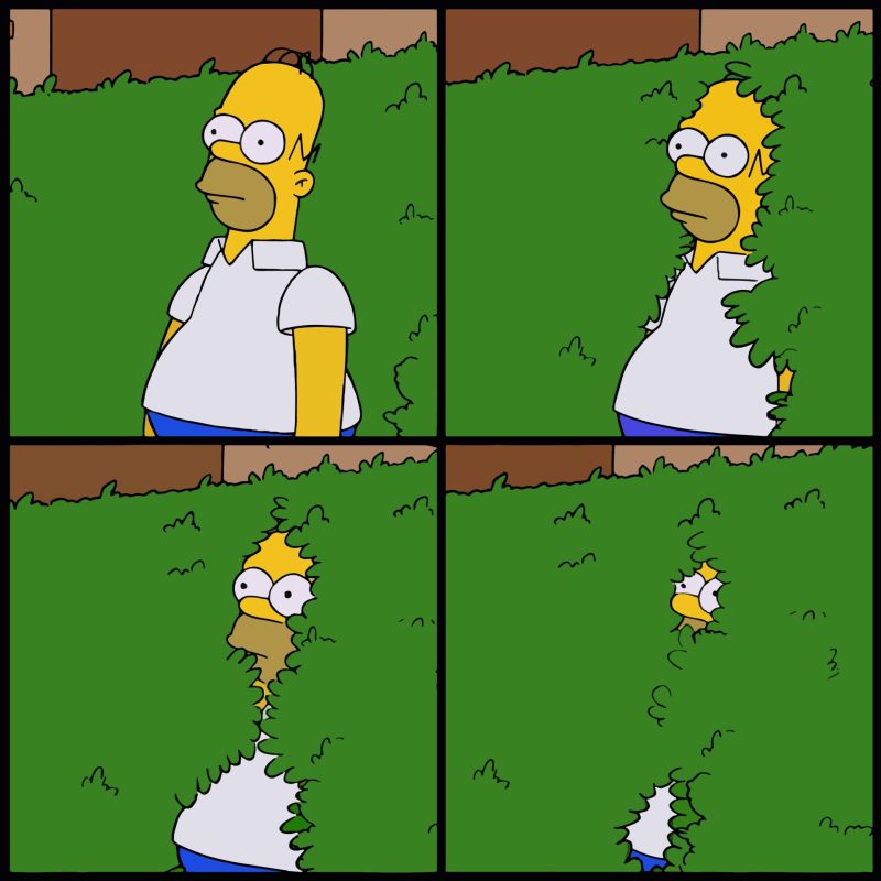 Meme με τον Homer Simpson να υποχωρεί μέσα σε έναν θάμνο.