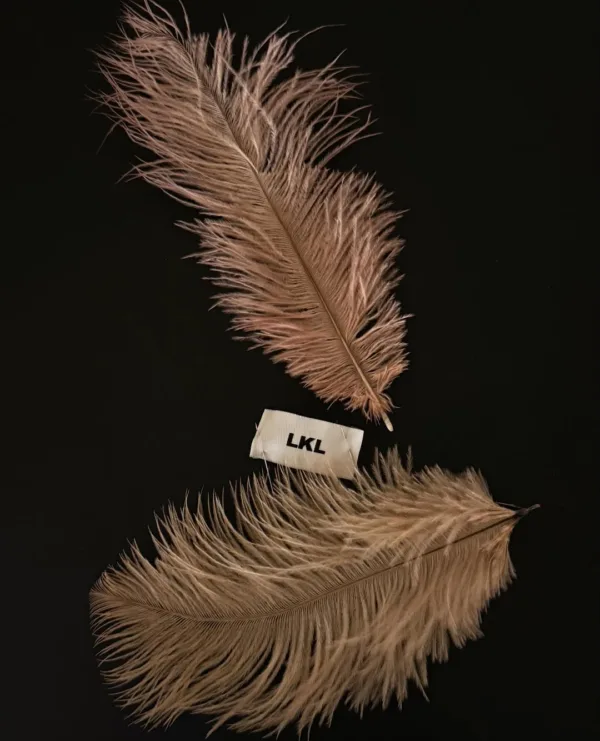 https://www.instagram.com/officiallkl/