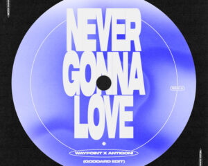 Εξώφυλλο τραγουδιού Never Gonna Love – goddard. Edit