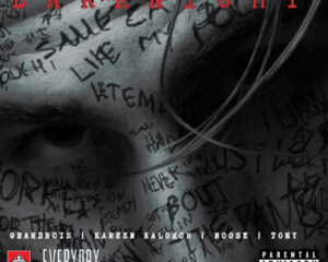 Εξώφυλλο τραγουδιού Darknight