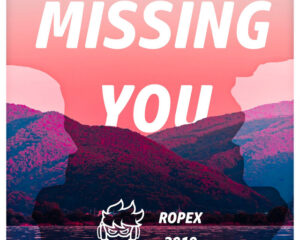 Εξώφυλλο τραγουδιού Missing You