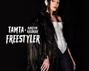 Εξώφυλλο τραγουδιού Freestyler