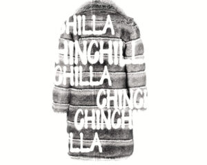 Εξώφυλλο τραγουδιού Chinchilla