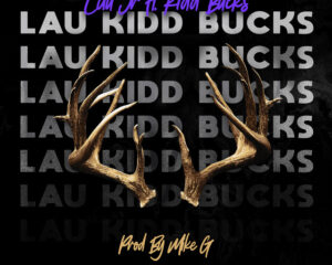 Εξώφυλλο τραγουδιού Bucks