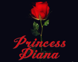 Εξώφυλλο τραγουδιού Princess Diana