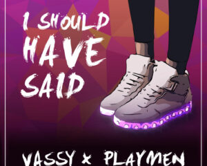 Εξώφυλλο τραγουδιού I Should Have Said – Pascal & Pearce Remix