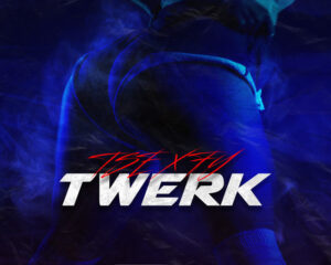 Εξώφυλλο τραγουδιού Twerk