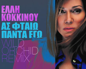 Εξώφυλλο τραγουδιού Ας Φταίω Πάντα Εγώ – Wild Orchid Remix