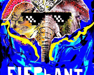 Εξώφυλλο τραγουδιού Elephant