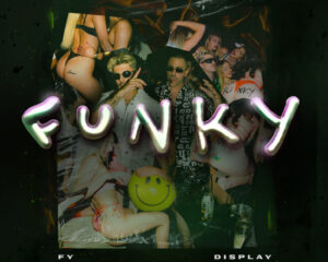Εξώφυλλο τραγουδιού Funky