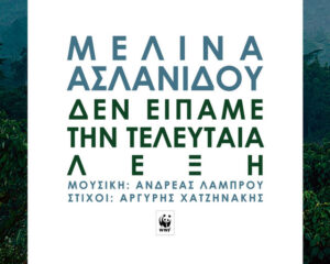 Εξώφυλλο τραγουδιού Δεν Είπαμε την Τελευταία Λέξη