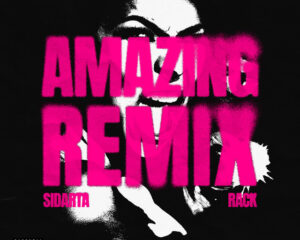 Εξώφυλλο τραγουδιού AMAZING – Remix