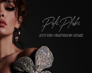 Εξώφυλλο τραγουδιού Πολύ Πλόκη – Antonis Dimitriadis Remix