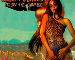 Εξώφυλλο τραγουδιού Follow the Sunrise