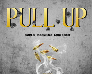 Εξώφυλλο τραγουδιού PULL UP