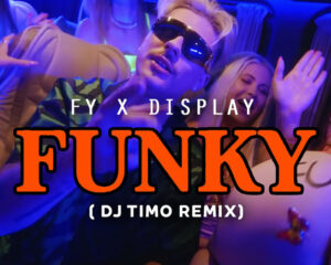 Εξώφυλλο τραγουδιού Funky (DJ Timo Remix)