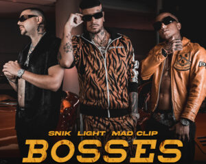 Εξώφυλλο τραγουδιού Bosses