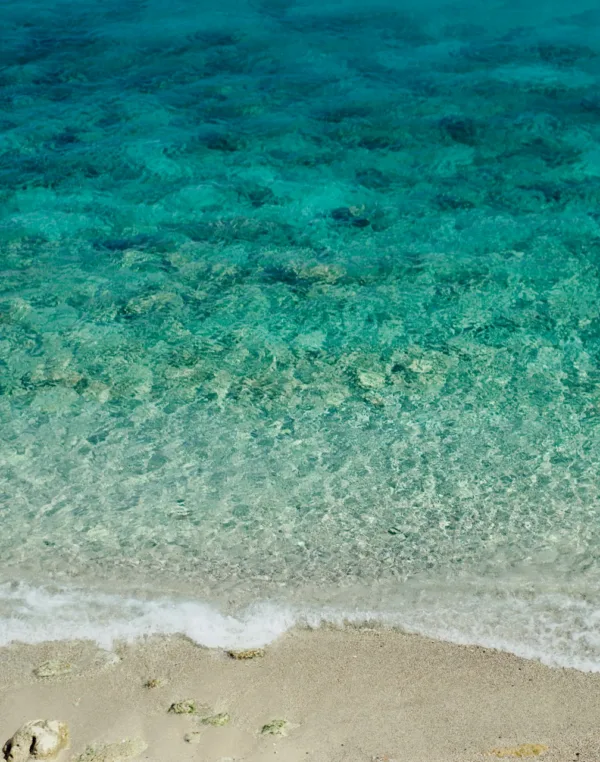 Πηγή: Unsplash