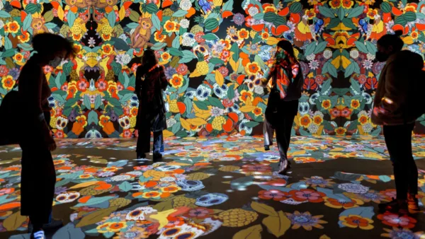 Interactive FRIDA 1
