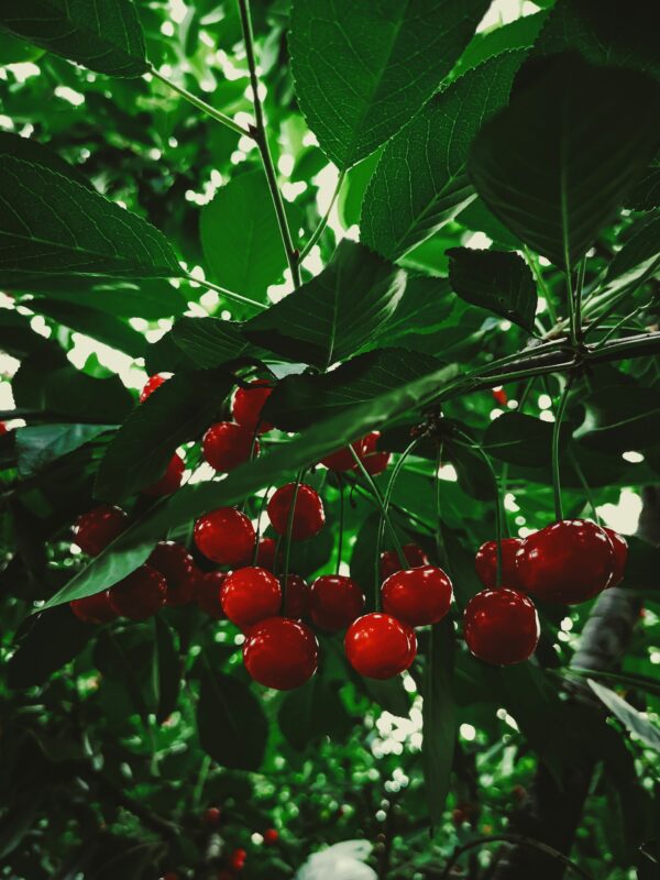 Πηγή: Unsplash