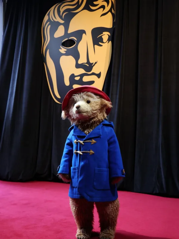 https://www.instagram.com/paddingtonbear/