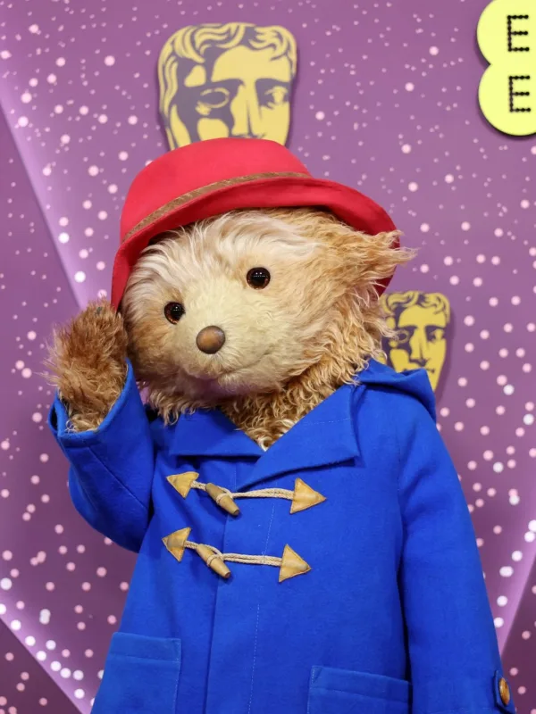 https://www.instagram.com/paddingtonbear/