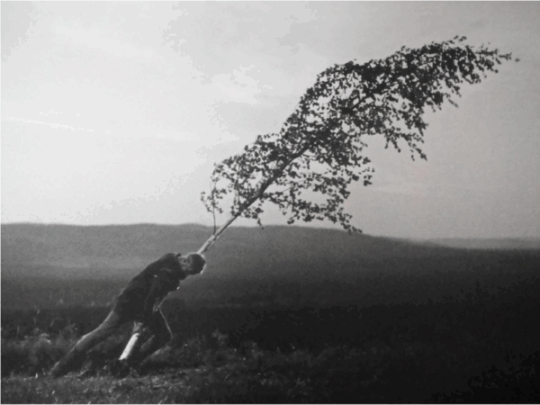 Athens Open Air Film Festival: Μπέργκμαν, Koons και «Η Πηγή των Παρθένων» στο Πάρκο Ελευθερίας