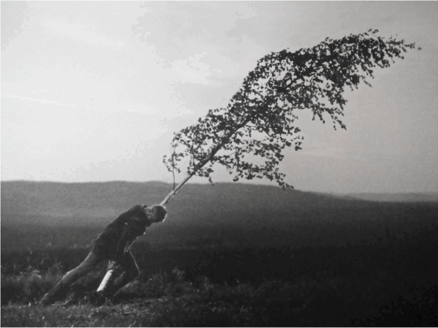 Athens Open Air Film Festival: Μπέργκμαν, Koons και «Η Πηγή των Παρθένων» στο Πάρκο Ελευθερίας