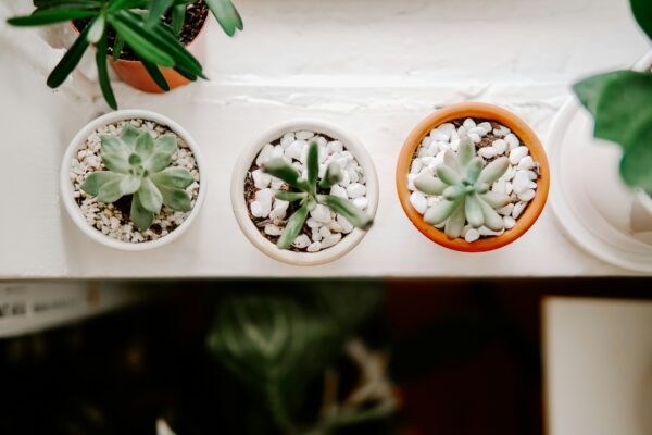 Ποιο είναι το decor trick που δίνει στο σπίτι σου νησιώτικο αέρα;