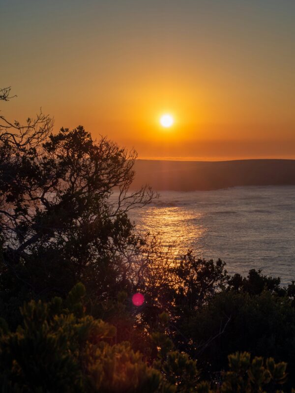 Πηγή: Unsplash