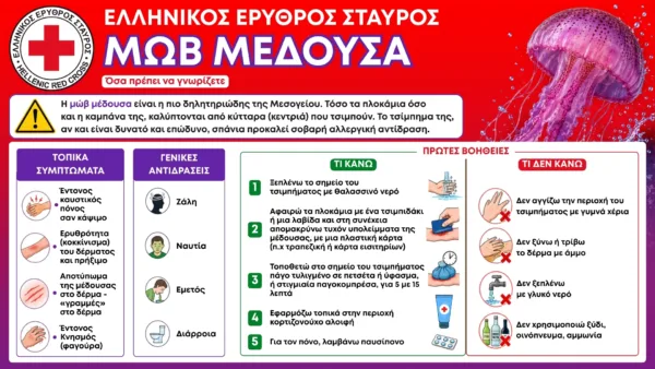 μωβ μεδουσες