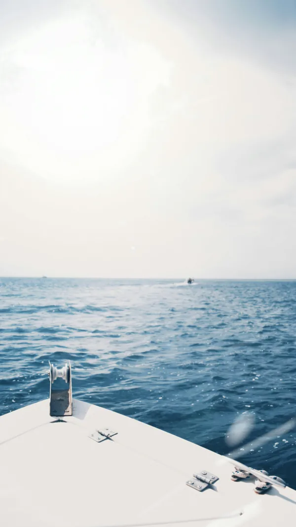 Πηγή: Unsplash
