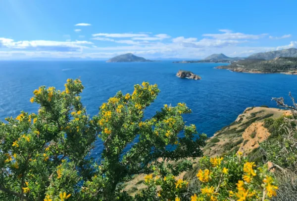 Πηγή: Unsplash