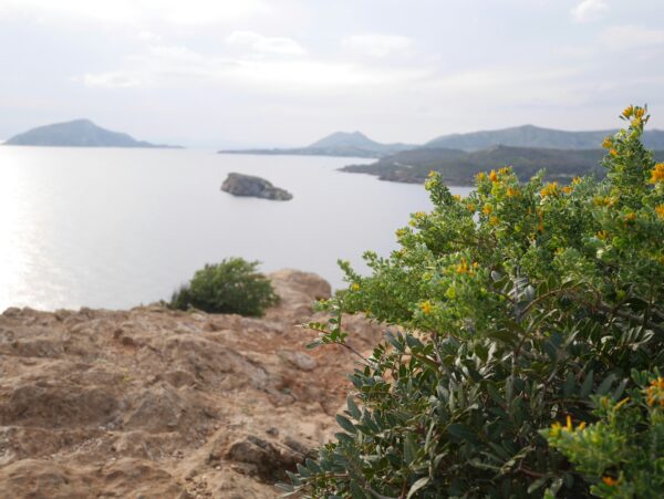 Road Trip: 3 πανεύκολες μονοήμερες κοντά στην Αθήνα για να υποδεχτείς το καλοκαίρι